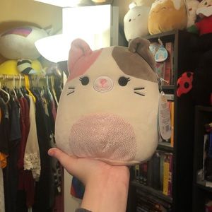 Karina the cat Squishmallow!